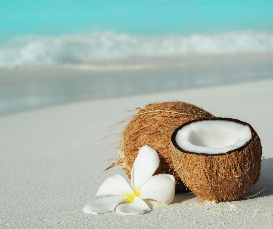 Coconut At the Beach