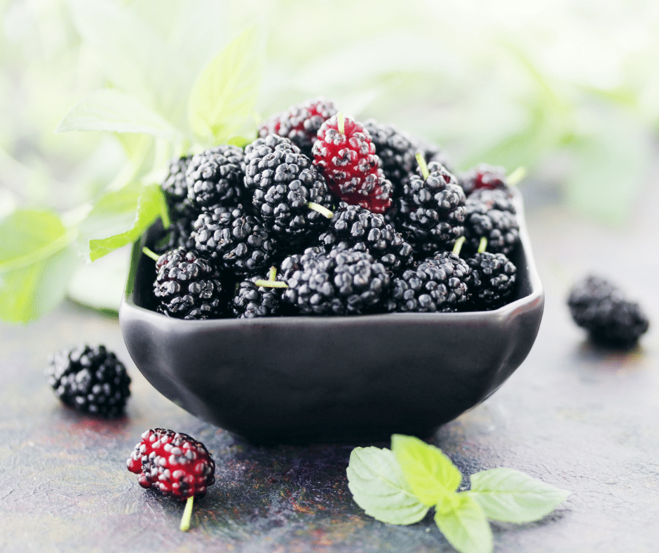 Mulberry Image for Skin Benefits